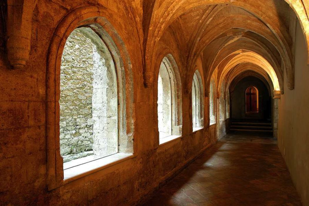 Nom de l'image : D1035368_(c)Norbert-JUNG — Description :